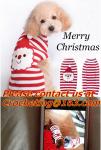pet clothing red dog sweater green pet, jacquared Turtle neck Sweater Pet Winter