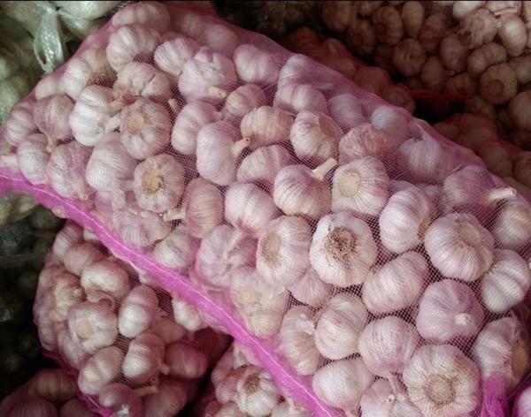 Buy Fresh Garlic Packing Pp Fruit Pink Mesh Drawstring Bag Made of 100% PP/PE Material at wholesale prices