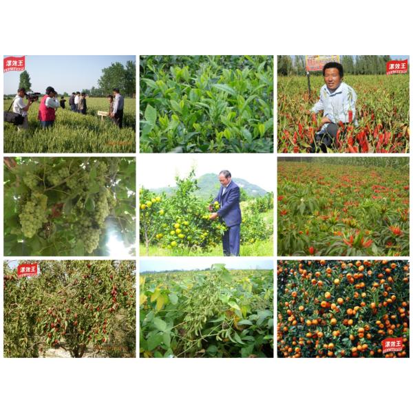 Organic Soil Conditioner Microbial Fermented Fertilizer