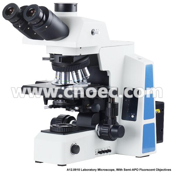 Buy APO Trinocular Compound Optical Microscope with Halogen Lamp Illumination at wholesale prices