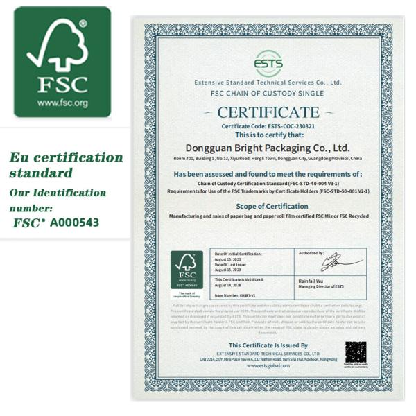 Custom Translucent Biodegradable Paper Bags Logo And Color Printing Supported