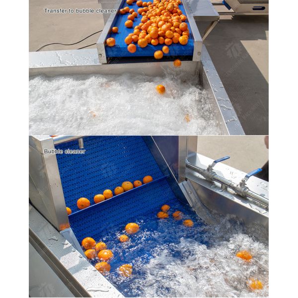 Automatic Fruit And Vegetable Processing Line Selection Washing Drying