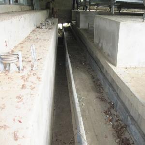China Automated Livestock Poultry Manure Removal System Hot Dipped Galvanized on sale