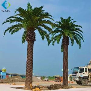 Quality Custom Artificial Palm Trees Environmentally Friendly Beautiful Shape for sale