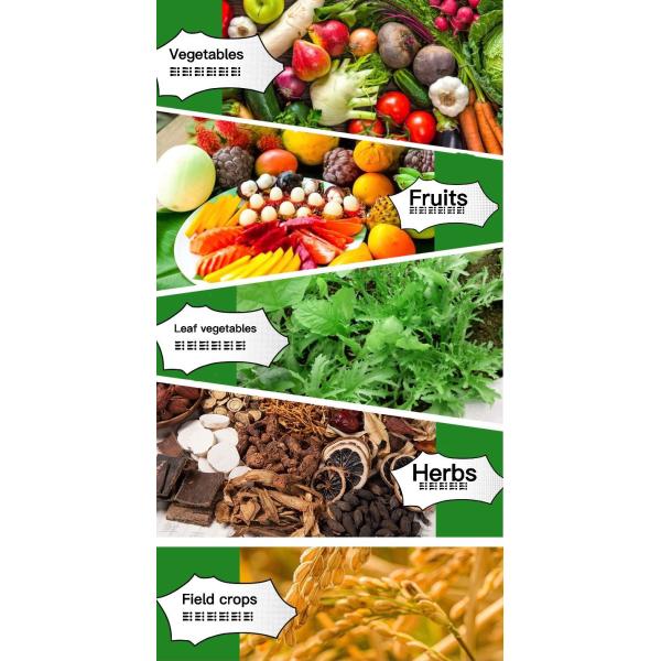 Liquid Soil Conditioner Fertilizer Gamma 25% Organic Fertilizer Synergist Increase Yields