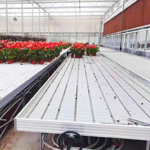 Buy Practical Customizable Greenhouse Rolling Tables Movable Design Pc Sheet Cover at wholesale prices