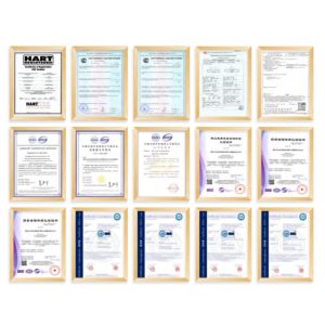 TC2000Multi-Parameter Intelligent Controller （Support the independent access of