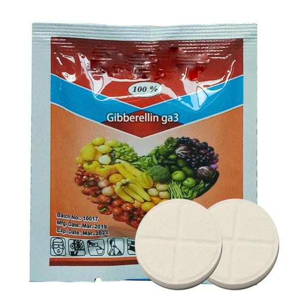 TIANHE Tablet Fertilizer / Animal Chewable Supplement Powder Pressing Machine