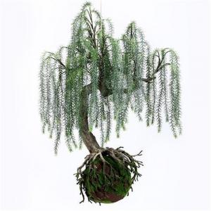 Quality Q117-9 Realistic Artificial Plants Home Decor Plants Weeping Willow With Plastic Base for sale