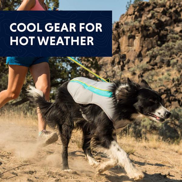 New Pet Apparel Dog Cooling Coat Dog Cooling Vest Wholesale Clothing