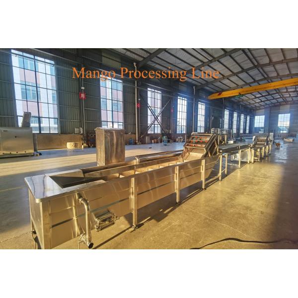 1-3 Ton/h Mango Pulp Processing Line Aseptic Bag Bottle Mango Pulp Processing Machinery