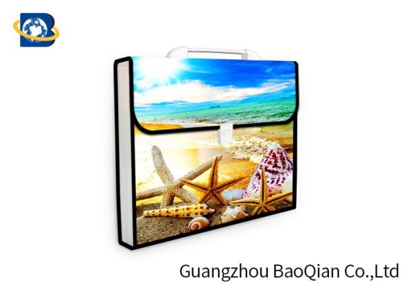 Buy 3D Lenticular Picture Expanding File Folders , Presentation Folder Printing at wholesale prices