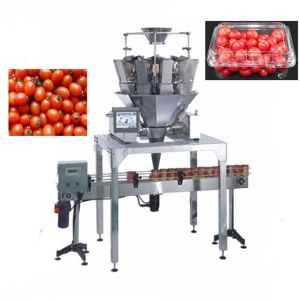 Quality SS304 Plastic Box Packing Machine for sale