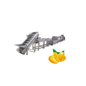 China 50T/H Industrial Mango Processing Line Automatic Mango Processing Plant Equipment on sale