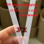 Single Double Screw Pp Strap Making Machine With Printing 5-19mm Customized