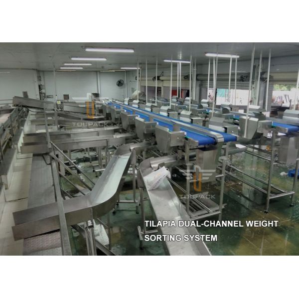 Horizontal Weight Grader Sorting Machine Multi Weight Sorting Checkweigher PLC Control