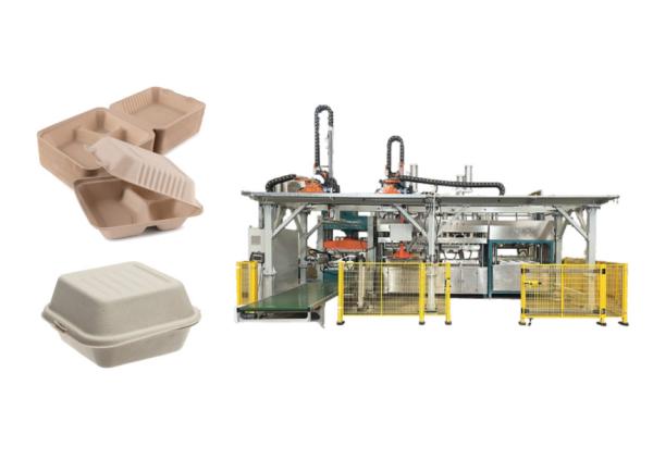 Buy Wood Pulp Burger Container Making Machine With Trimming And Stacking Robot at wholesale prices