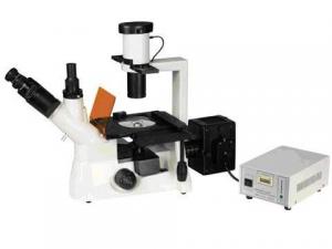 Quality 7403Y Fluorescence microscope China Manufacturer for sale