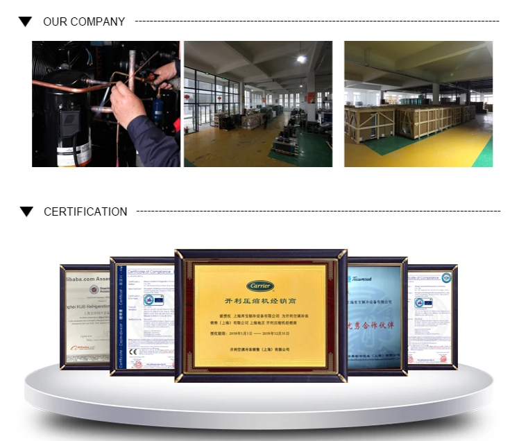 KUB FH22 ZB21L Scroll Compressor Copeland Condensing Unit Cold Room 3HP Condensing Unit