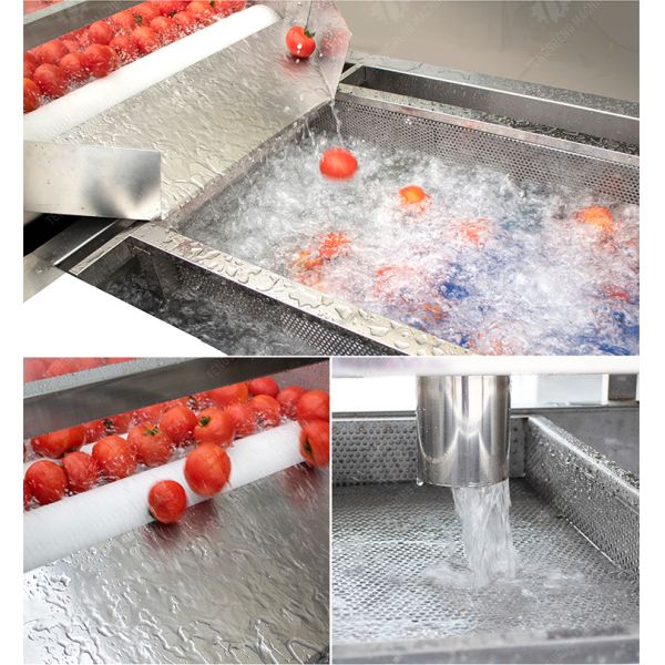 SS 380V Industrial Vegetable And Fruit Washing Machine
