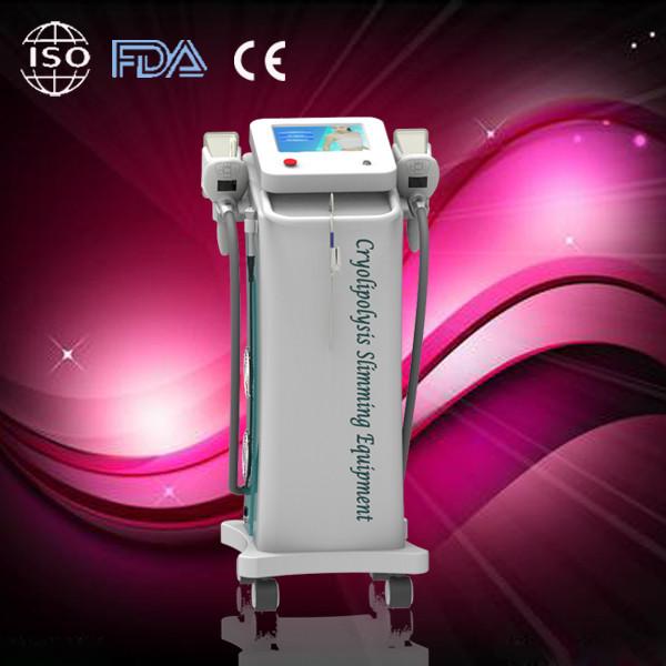 Buy Radio Frequency Cryolipolysis Slimming Machine Pulse With CE certification at wholesale prices
