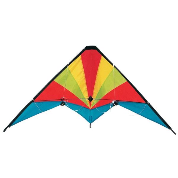 Special Pattern Polyester Kite , Easy Assembled Delta Wing Kite 120*60CM
