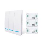 Learning Code Encoding Type Wireless Remote Switch with 2.4GWIFI Frequency