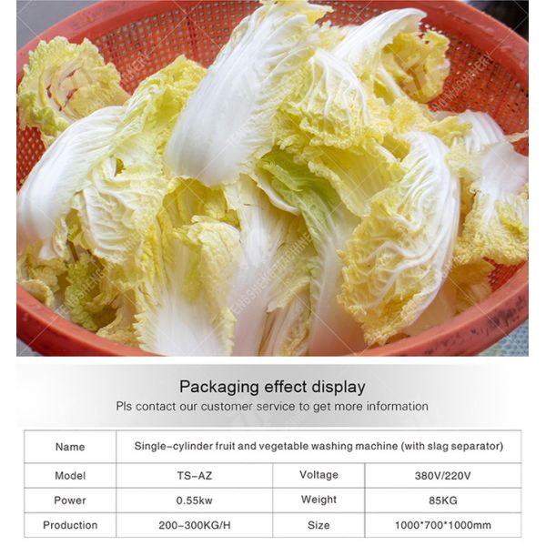 Industrial Single Bubble Fruit And Vegetable Washing Machine 300KG/H