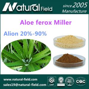 Quality Health Food Aloe Ferox Miller,Aloe Vera Extract,Aloin Powder 20%~90% for sale