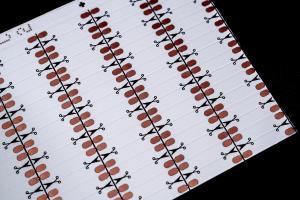 Quality HOT 5050RGBW WW fpc High-Quality Flexible PCB Fast Prototype &amp; Mass Production Use For Led Light Double layer circuit board, double-sided WHITE film for sale