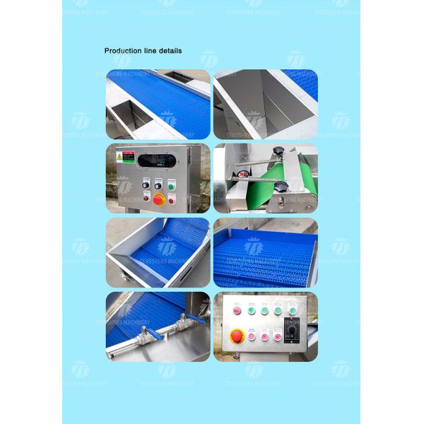 165MM Belt Industrial Vegetable Processing Machine Fruit Selection Washing Cutting Machine