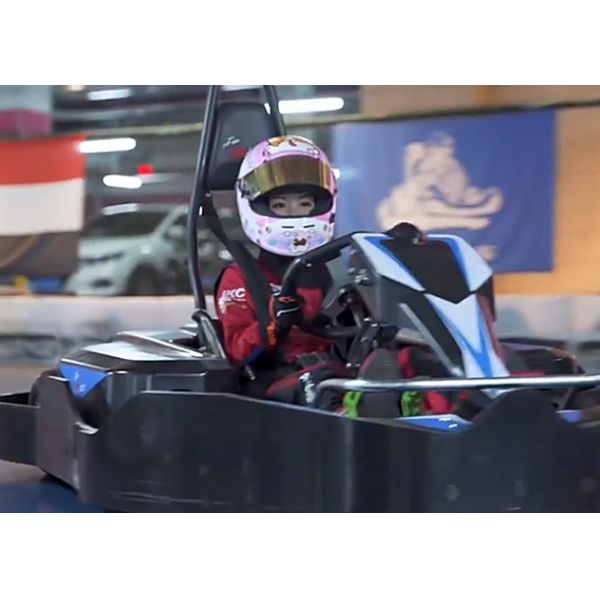 14Nm Fast Electric Go Kart For Adults