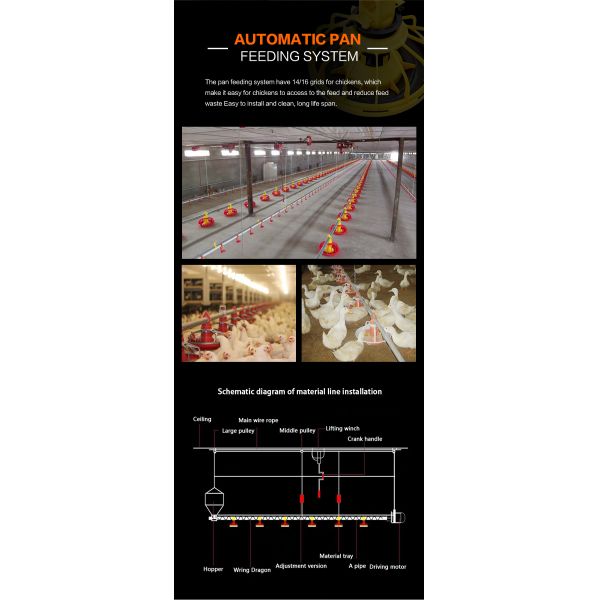 Automatic feeding pan for Animal & Poultry Husbandry Equipment