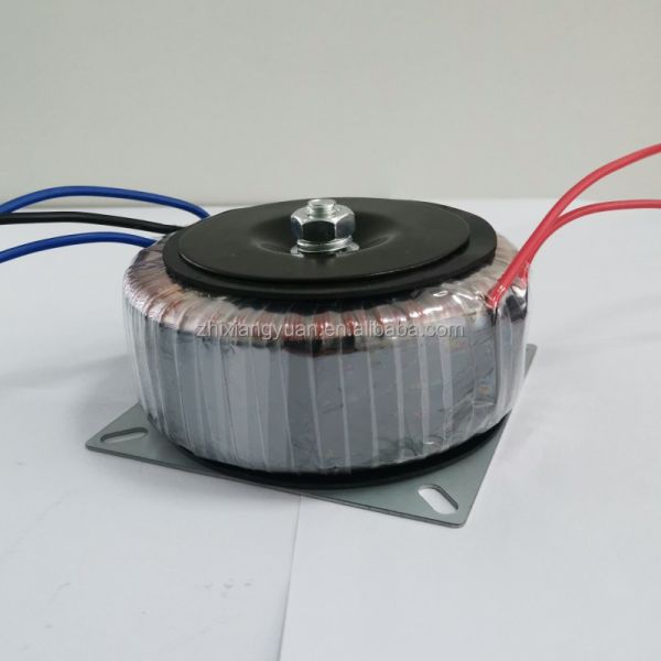 100W Toroidal Transformer for Audio Power Inverter 115V-240V Input