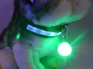 China Pet Dog LED glowing pendant necklace Safety puppy Cat Night Light Flashing Collar Glowing in Dark on sale