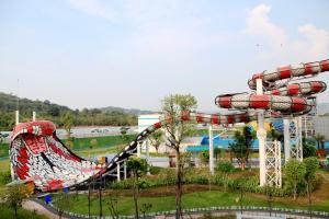 China Custom Smooth Fiberglass King Cobra Water Slide / Water Park Playground on sale