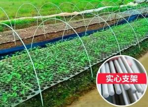 Quality 10mm Fiber Reinforced Plastic Rod Flexible Fiberglass Rods For Green House Planting for sale