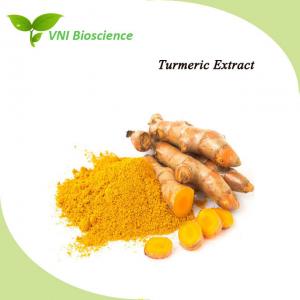 Quality Natural Curcumin Turmeric Extract Powder for sale