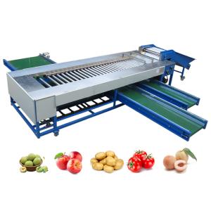 Quality SUS304 Roller Sorting Machine Used For Sorting And Grading Round Fruits And Vegetables for sale