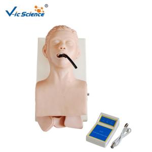 Quality Human Trachea Lntubation Model CPR Training Manikins In Medical Science for sale
