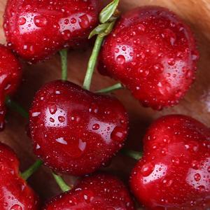 Quality 6 Channels Cherries Silver Sorting And Grading Machine 360 Degree Rotational Scanning for sale