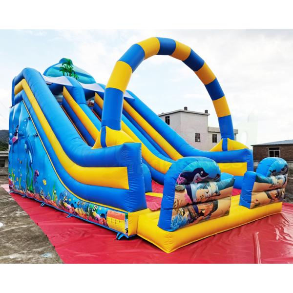 Ocean World Dual Lane Commercial Inflatable Water Slide