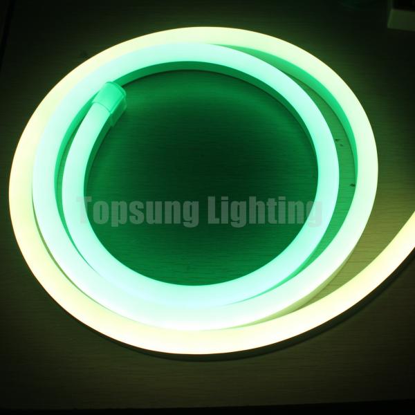 Buy christmas dynamic flexible neon rope tube dome surface led pixel flex 24V at wholesale prices