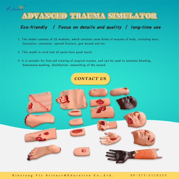 Advanced Trauma Accessories CPR Training Manikins Nurse Training Model