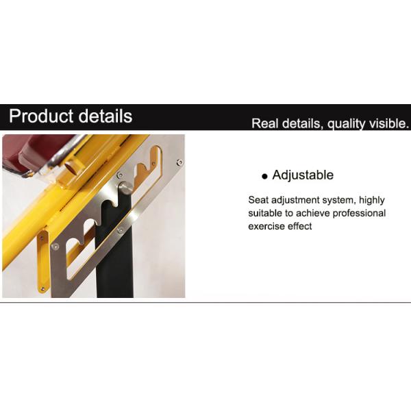 Pro Commercial Gym Rack And Fitness Equipment Roman Ab Exercise Chair