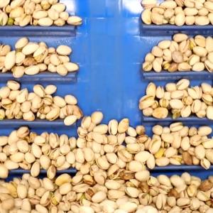 Quality High Speed Pistachio Sorting And Grading Machine Computer Control 16 Channels for sale
