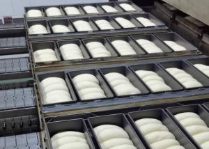 Quality Continuous Sourdough Proofer for sale