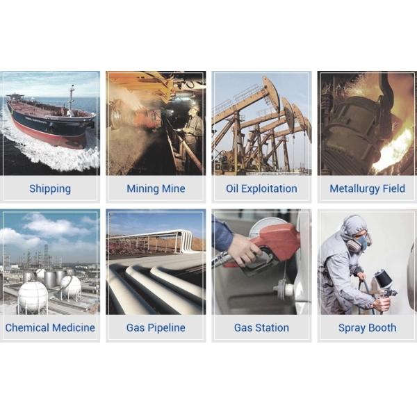 C2H2 Acetylene Alarm Gas Leak Detector 0-100%Lel With Light/Sound Alarming