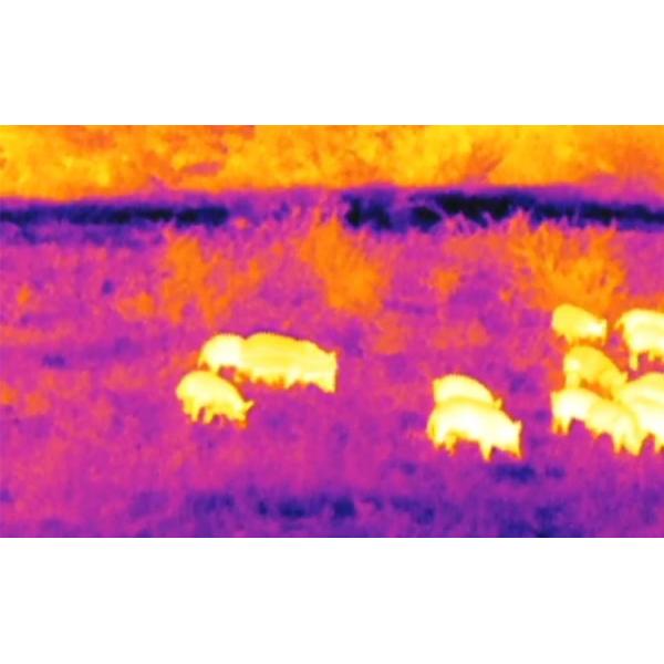 TR20 Thermal Imaging Gun Sight 384* 288 Ir Resolution And 35mm Focal Length