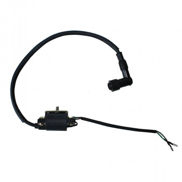 Buy Black 2 Wire Ignition Coil , 4 Stroke ATV Dirt Bike Engine Ignition Coil at wholesale prices